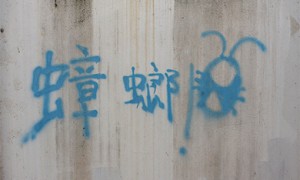 roach-article-01