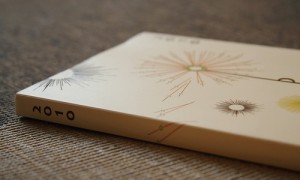Photos from flickr by Katherine Ridgely