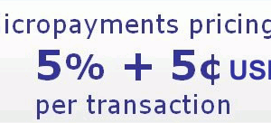 micropayment