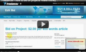 video - how to bid