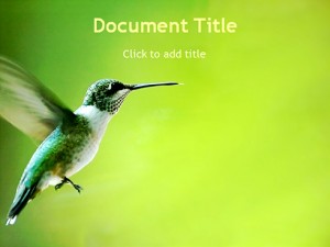 Nature - design powerpoint yang menarik