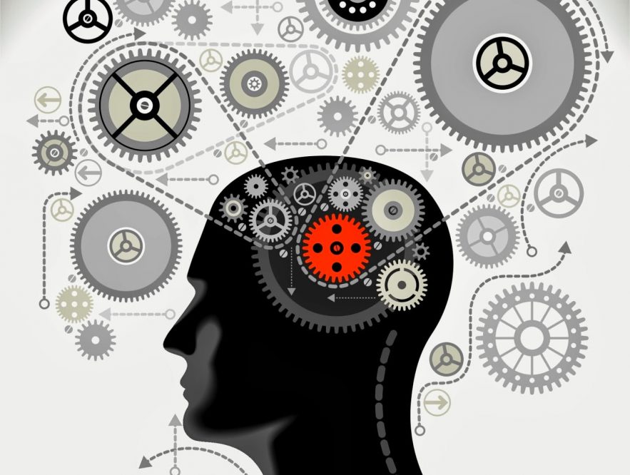 Membantu Mengembangkan Imajinasi - Perlukah Jasa Seorang Arsitek Paruh Waktu? - mentaljuara45.blogspot.com