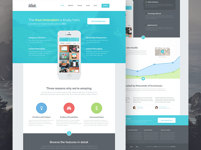 Menciptakan Website dengan ThemeForest - Mengenal ThemeForest, Portal Tema WordPress Sekaligus Wadah Para Desainer - dribbble.com