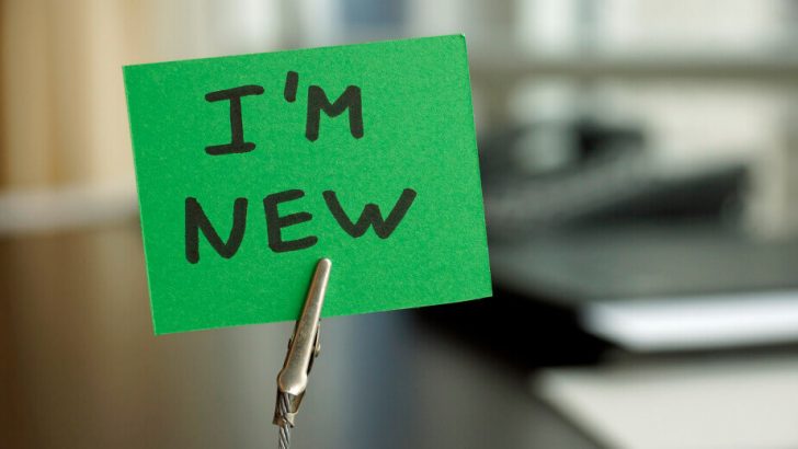 Dear Newbie, Please Be Nice - hiring.workopolis.com