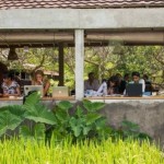 Hubud Co Working Space, Bali 7