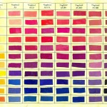 Mempelajari warna dan bagaimana cara menggunakannya dengan benar